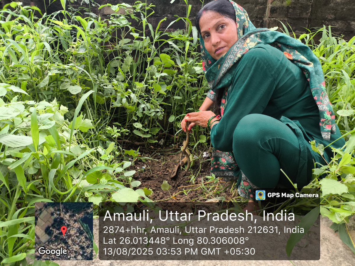 🌳 #प्रकृति_मित्र 🌳
Name - Pratima Umrao
Address- Composite school Amauli, Amauli fatehpur
<a href="/shikshansamvad/">मिशन शिक्षण संवाद @shikshansamvad</a>  <a href="/teachersclubup/">teachers club</a> <a href="/UNEP/">UN Environment Programme</a> @eriksolheim <a href="/myogiadityanath/">Yogi Adityanath</a> <a href="/narendramodi/">Narendra Modi</a> <a href="/DEFCCOfficial/">Department of Environment, Forest & Climate Change</a> <a href="/basicshiksha_up/">Department Of Basic Education Uttar Pradesh</a> <a href="/Rupendersingh02/">Rupender Singh MSS</a>
साभार- टीम प्रकृति मित्र 
मिशन शिक्षण संवाद