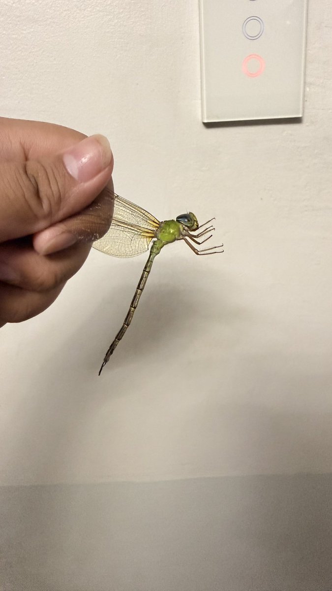 Austin gusto mo ba ipa lalamove ko sayo to? HAHAHAHAAH <a href="/c6shua/">ani</a>