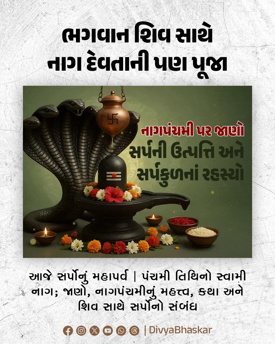 Divya_Bhaskar's tweet image. આજે સર્પોનું મહાપર્વ : નાગપંચમીના દિવસે ભગવાન શિવની સાથે નાગ દેવતાની પણ પૂજા, જ્યોતિષશાસ્ત્ર અનુસાર, પંચમી તિથિનો સ્વામી નાગ; જાણો, નાગપંચમીનું મહત્ત્વ, કથા અને શિવ સાથે સર્પોનો સંબંધ - divya.bhaskar.com/71UmdGk7MVb

#GujaratiNews #Dharmdarshan #NagPanchami