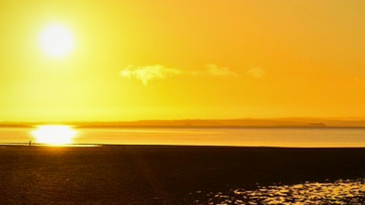 Als je dit prachtige plaatje op jouw tijdlijn te zien krijgt, dan ben jij ongelooflijk gelukkig! De foto stimuleert namelijk de aanmaak van "gelukstofjes" in jouw lichaam. Dat zegt, tenminste de wetenschap. Laat het weten wat je hier van vindt!