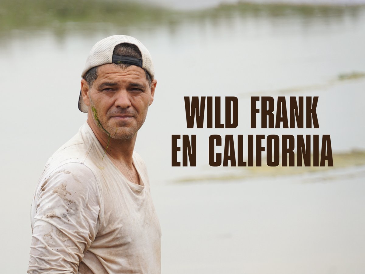 Wild Frank tweet media