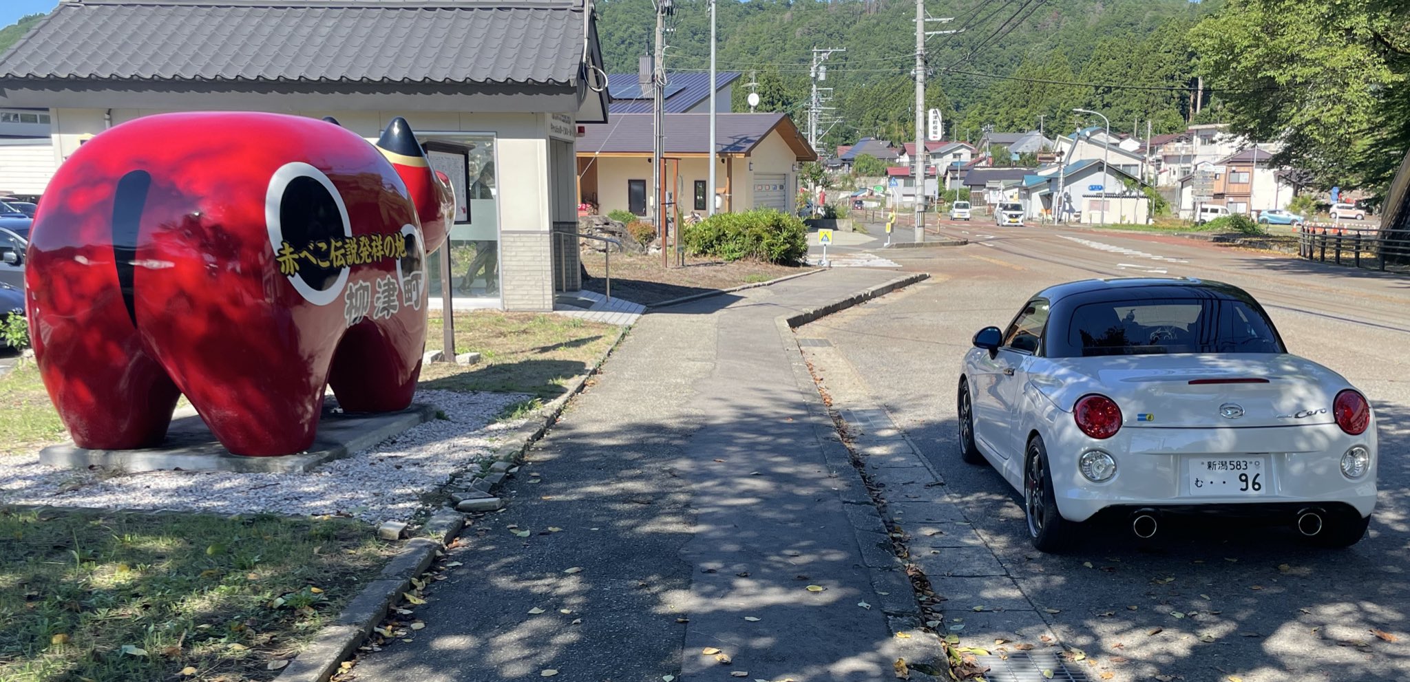 猫背のくま くまねこ🧸🐈 on X: 