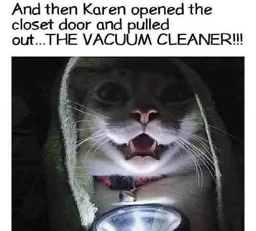 More Scary Tales From The Cat...
