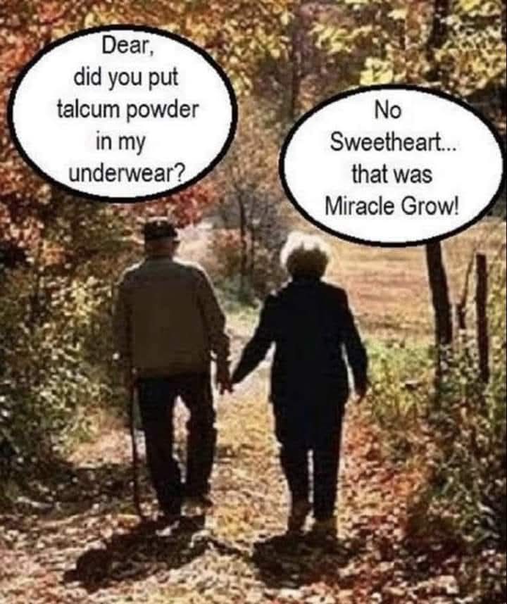 A Conversation Between An Elderly Couple...