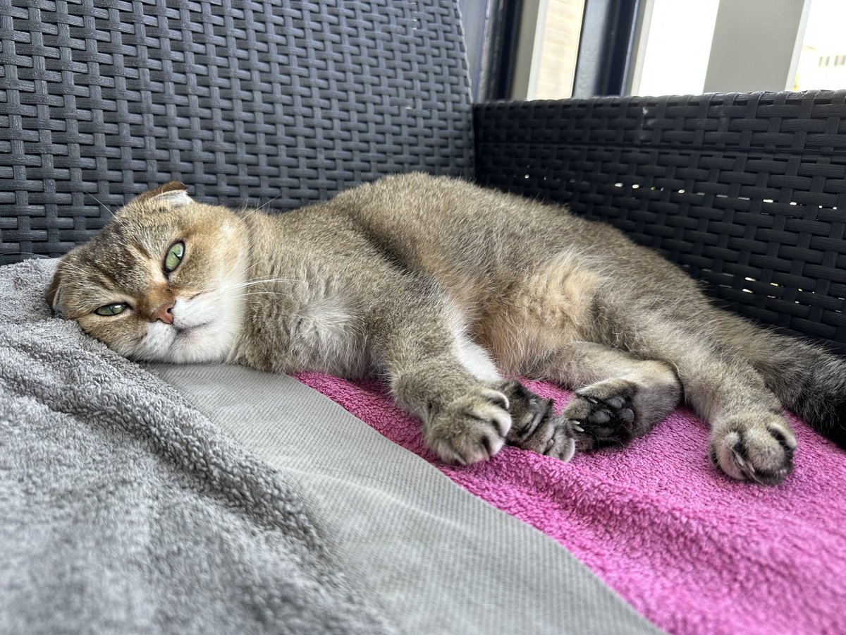 This heatwave is no joke! Stay cool and remember to drink plenty of water!