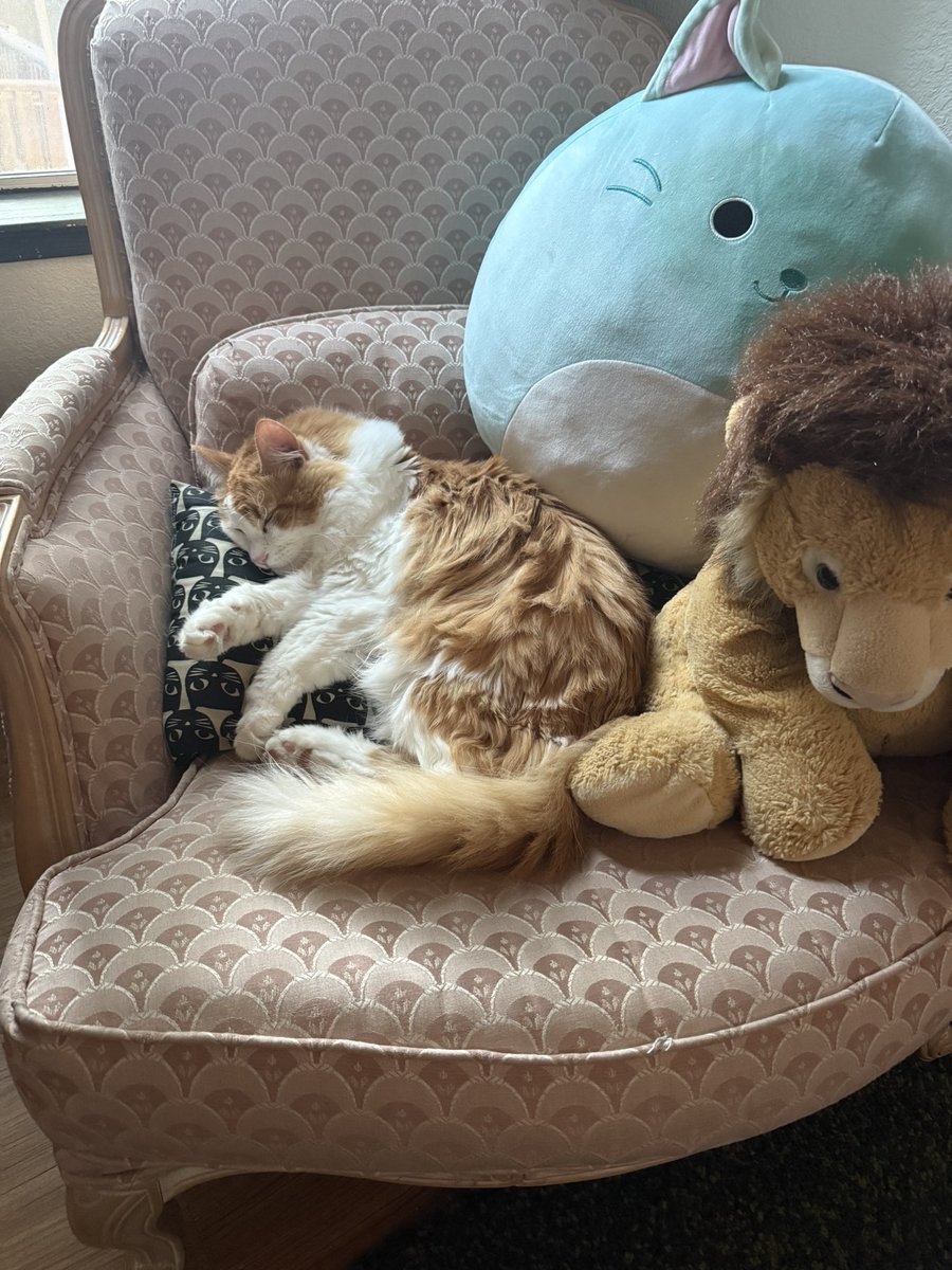 Fionna💋 tweet media