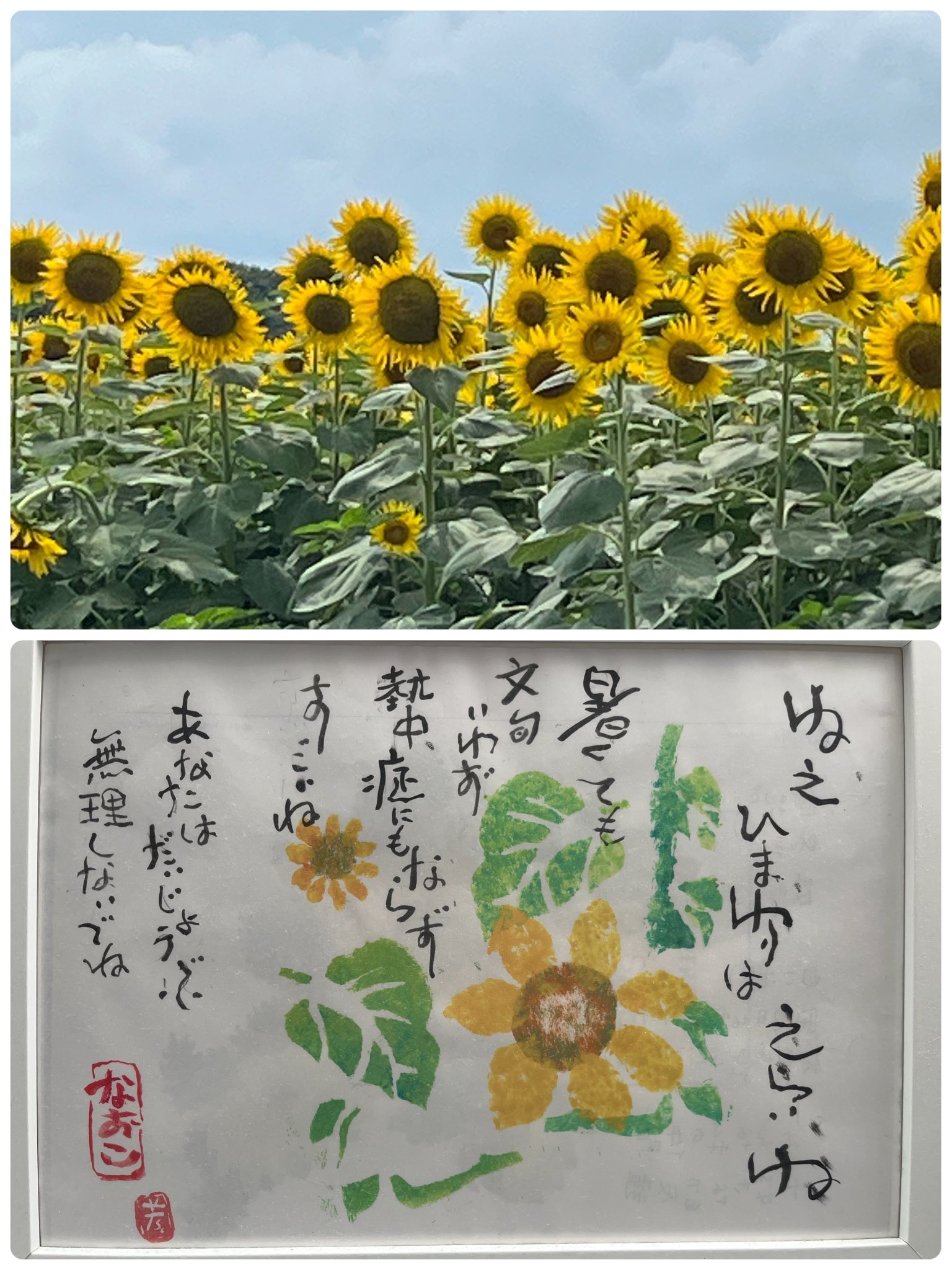 ひまわり　新堂春雲作品　24✖️27手書き ひまわり 新堂春雲作品 24✖️27手書き
