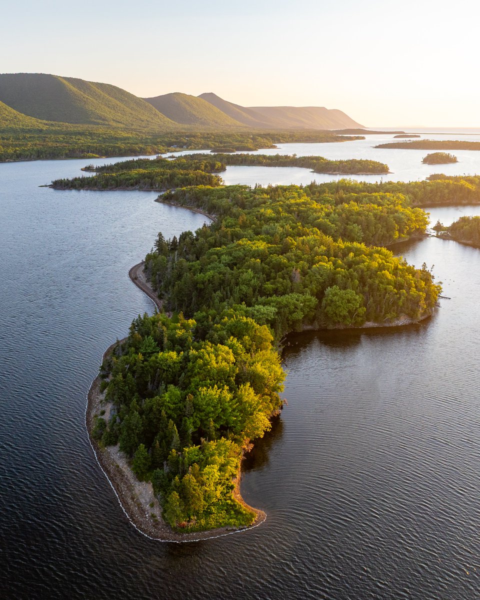 Adam Hill tweet media