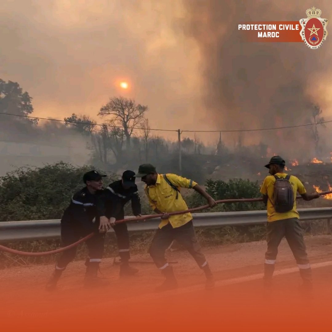 PROTECTION CIVILE MAROC tweet media