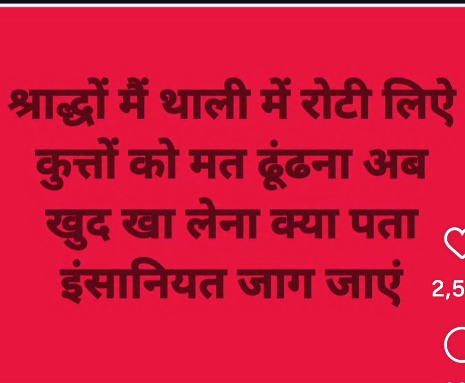 Natasha108108's tweet image. #straydogs 
#JusticeForDogs 
#dogs