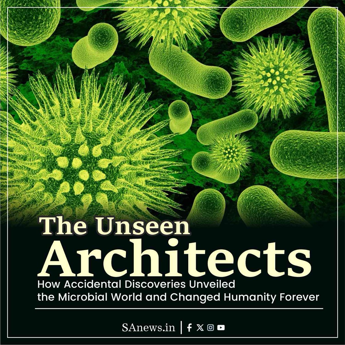 For centuries, we believed life could spontaneously arise from mud and rotting meat. Then, a simple experiment with a swan-neck flask proved us all wrong. That single discovery was a key that unlocked the invisible microbial world. Learn how a series of accidents revealed the