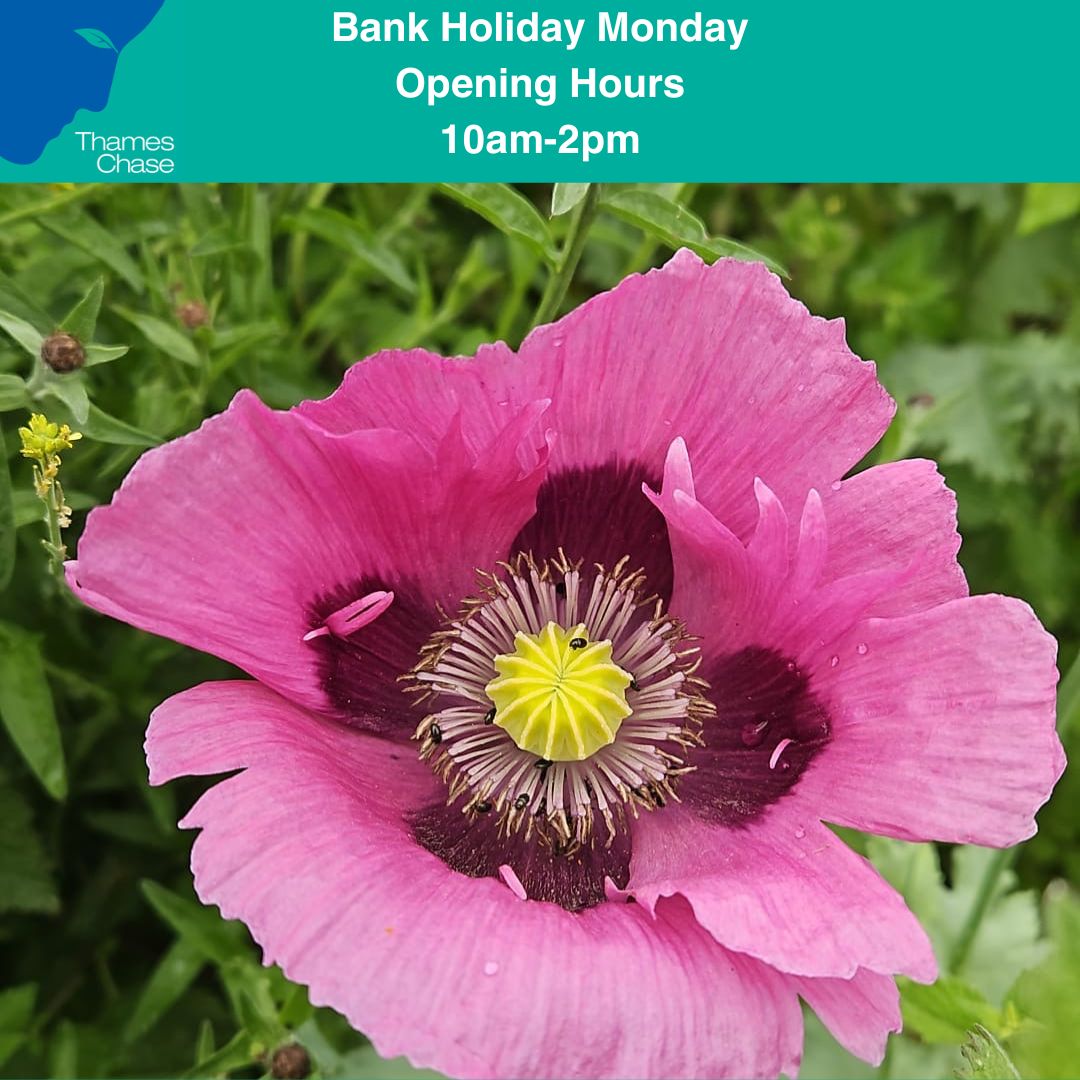 Please be aware of our Bank Holiday Monday opening hours for Monday August 25th. #thameschase #bankholiday