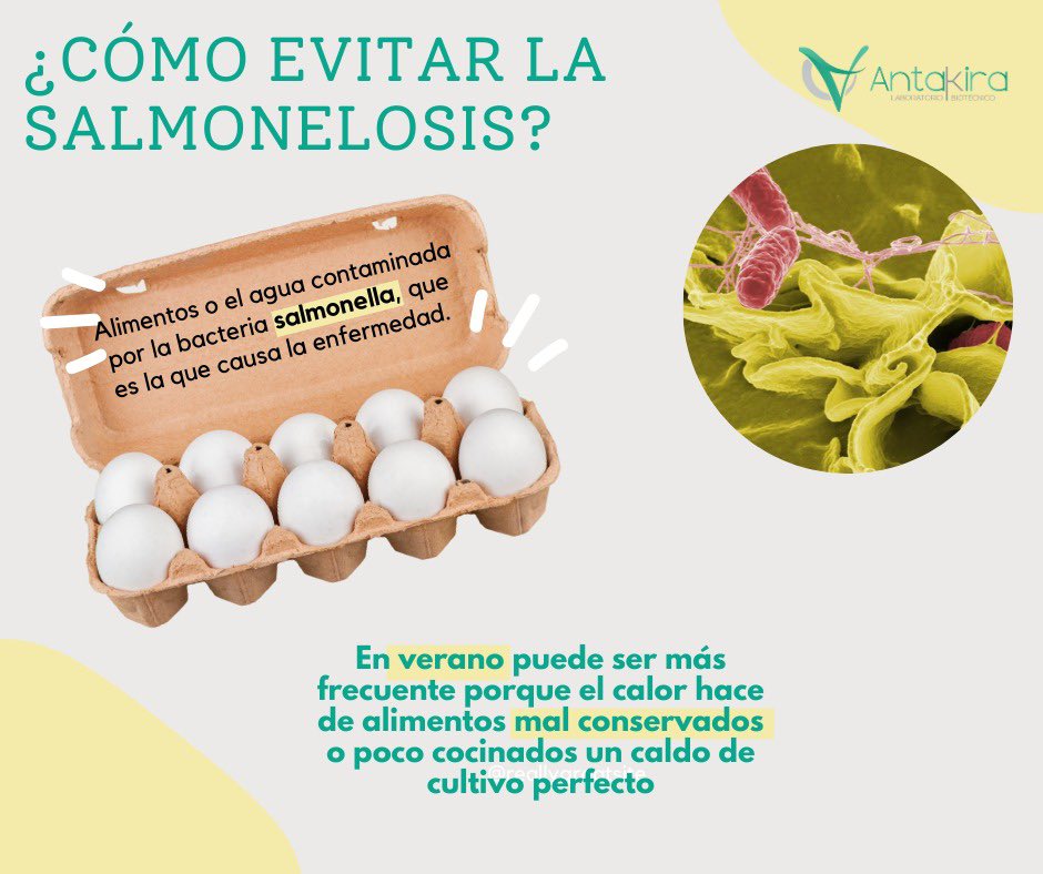 LabAntakira's tweet photo. ☀️ En verano, el calor favorece la proliferación de bacterias como la Salmonella, aumentando el riesgo de intoxicaciones alimentarias por una mala conservación de los alimentos.
En Laboratorio Antakira te ayudamos a prevenir la salmonelosis con análisis microbiológicos de calidad https://t.co/ud4yRMH5CH