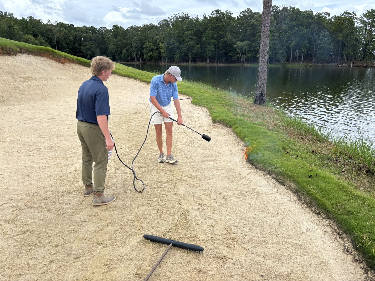 James Morgan tweet media