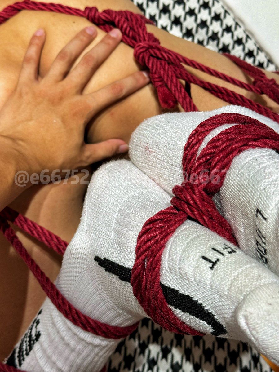 小向先生 tweet media