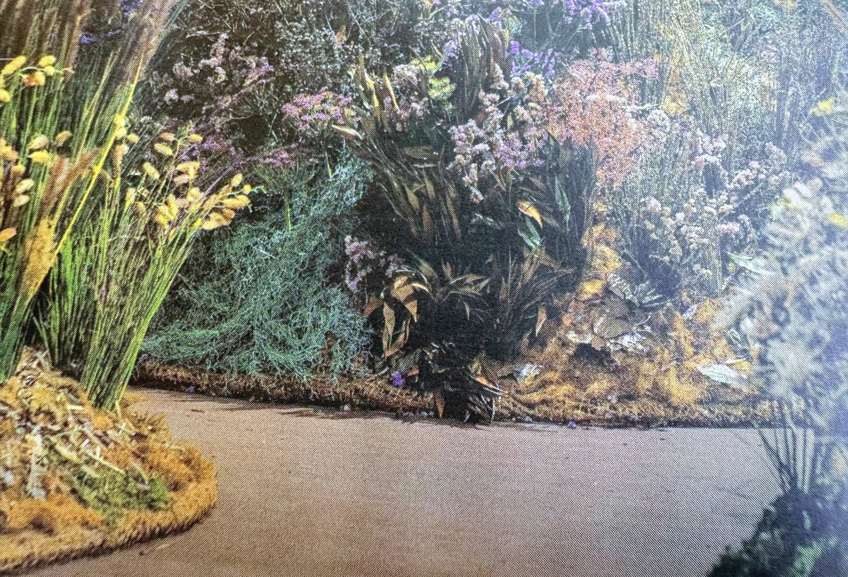 مرايا الصمت متفائلة عيونها

رؤية الفرح آتية

اسرار تنتظر الأوان

تعد الأيام..انت بينهم

#هاشم_ذياب