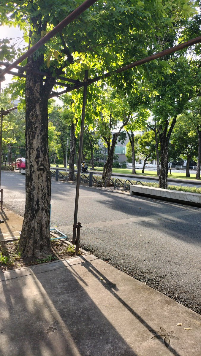 กลับศาลายาเหมือนเติมแรงใจ🥹