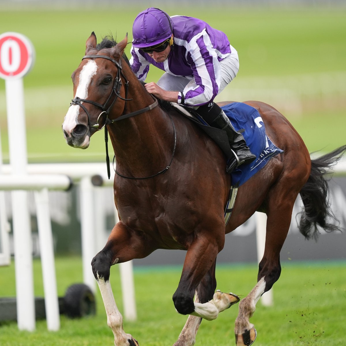 At The Races tweet media