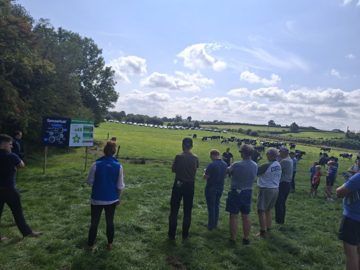 Super day for <a href="/i_h_f_a/">IHFA</a> focus farm event with <a href="/SenseHubIrl/">SenseHub Ireland</a> on Jim Murray farm in Birr. A 3.8% protein pedigree HF herd.