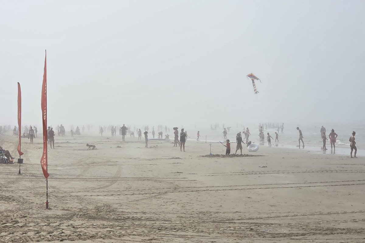 Zeevlam  #egmondaanzee <a href="/WilliamHuizinga/">William Huizinga</a> <a href="/nicolienkroon/">nicolienkroon</a> <a href="/onwukaa/">Amara Onwuka</a> <a href="/BuienRadarNL/">Buienradar</a> <a href="/mrmiddendorp/">Maurice Middendorp</a> <a href="/MartijnDorrest1/">Martijn Dorrestein</a> <a href="/EmsWeather/">Magdel Erasmus</a> <a href="/helgavanleur/">Helga van Leur ☀</a> <a href="/jordiweerman/">Jordi Huirne</a> <a href="/marjondehond/">Marjon de Hond</a> <a href="/RTLOntbijtnws/">RTL Ontbijtnieuws</a> <a href="/RTLnieuws/">RTL Nieuws</a> <a href="/janvissersweer/">JAN VISSER</a> <a href="/NHNieuws/">NH Nieuws</a> <a href="/weermanrobert/">➡️ Robert de Vries</a>