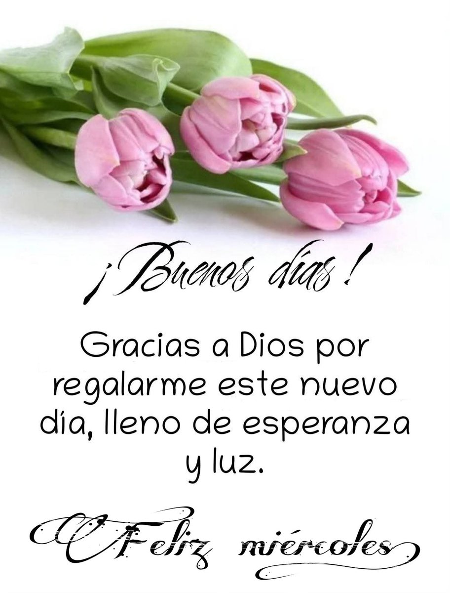 ๐ฉท ๐๐ โ๐ร๐ง๐ผ๐ซ ๐ฉท (@gabyalechavez) on Twitter photo Buenos, bonitos y gorditos, desveladosos, agradecidosos, aรบn en shockosos, frรญosos, muy cafesosos, ajetreadosos, trecerosos, nostรกlgicosos, tristosos y guapetosos dรญas, feliz miรฉrcoles de plazaโ๐๐ป๐ผ๐ผ๐ซถ๐ป๐๐ท๐ฅ๐ค๏ธ โ๐๐๐๐๐๐ป๐ฐ๐๐๐ผโฐ๐งฟโพ๏ธ๐ฟ๐๐๐โค๐๐๐๐๐ค๐ค๐ฉถ๐ฉทโค๏ธโ๐ฉนโค๏ธโ๐ฅ๐๐๐ฅฐ Buenos, bonitos y gorditos, desveladosos, agradecidosos, aรบn en shockosos, frรญosos, muy cafesosos, ajetreadosos, trecerosos, nostรกlgicosos, tristosos y guapetosos dรญas, feliz miรฉrcoles de plazaโ๐๐ป๐ผ๐ผ๐ซถ๐ป๐๐ท๐ฅ๐ค๏ธ โ๐๐๐๐๐๐ป๐ฐ๐๐๐ผโฐ๐งฟโพ๏ธ๐ฟ๐๐๐โค๐๐๐๐๐ค๐ค๐ฉถ๐ฉทโค๏ธโ๐ฉนโค๏ธโ๐ฅ๐๐๐ฅฐ