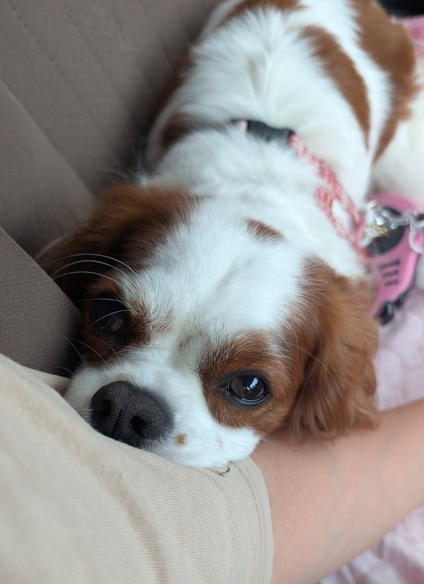 可愛いね〜🥰
いつもママを癒してくれてありがとう❤