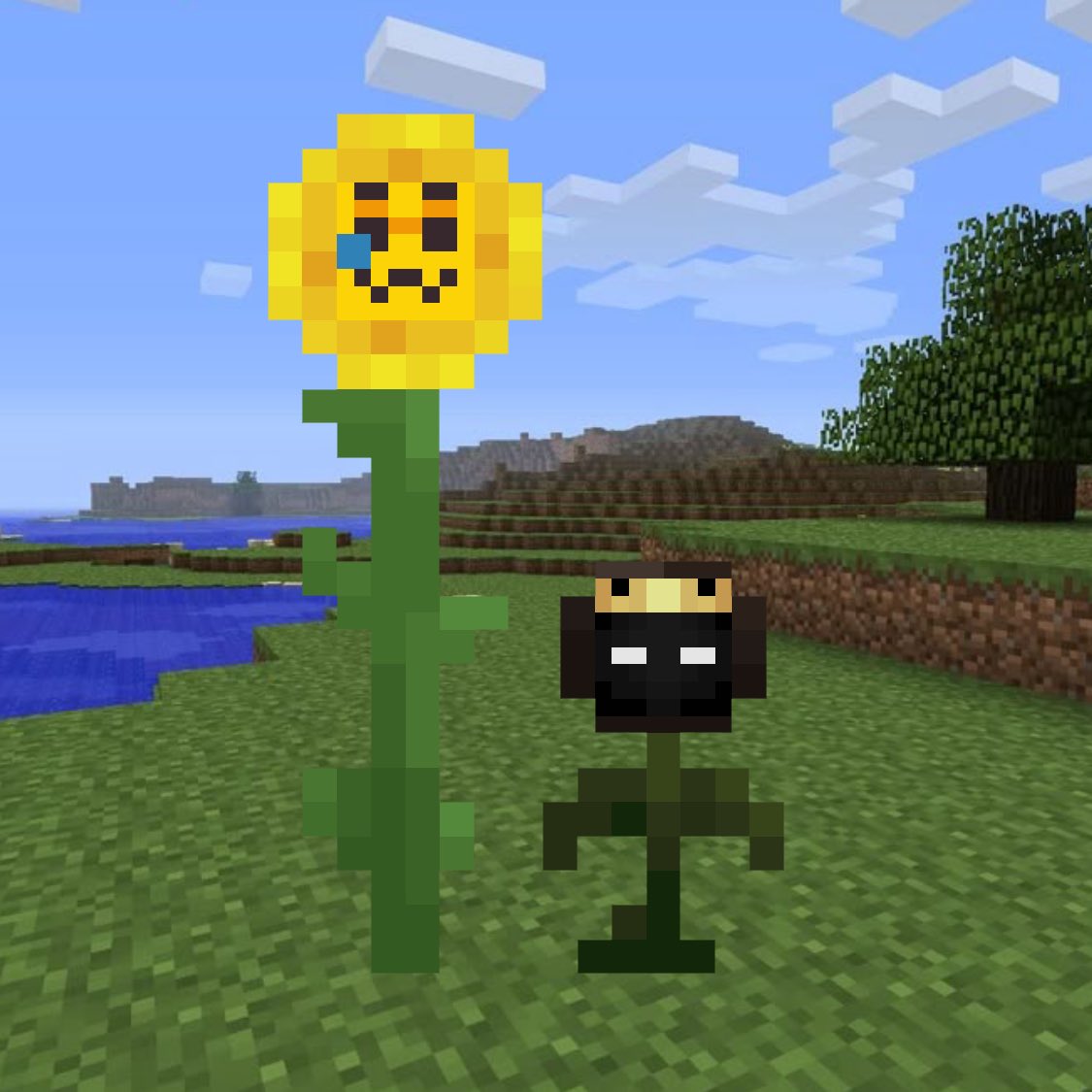 is this peak fanart (im not drawing a fucking background fuck that)

[#Rejoicefanart #taimcfanart #strengthsmp #daisygrove] 

rejoice as a sunflower bc yk its his branding and tai as a wither rose bc he looks like one ??? idk bro doesn’t seem like any other flower