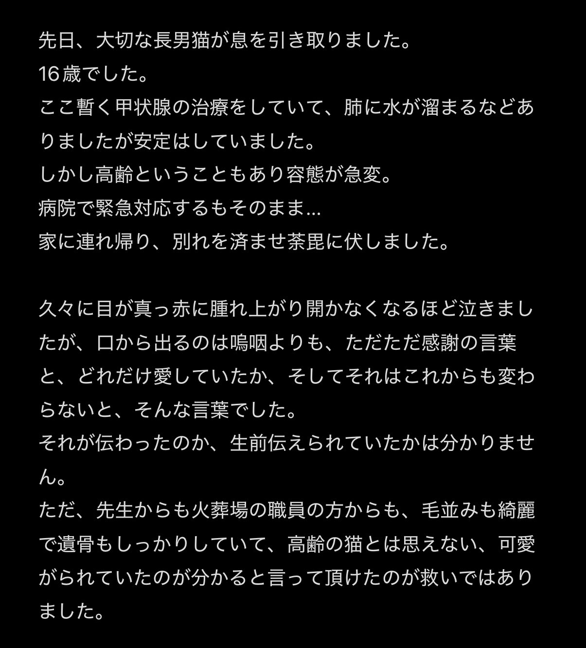 さらに緊急値下げ！　居　勲章まとめ(9点) お値下げ致しました！ 清 on X: 