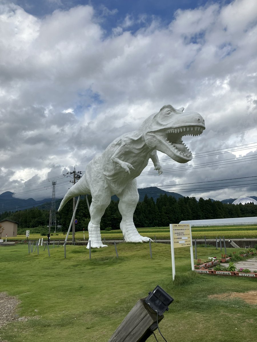 福井県楽しかった😌
12月もランダムで行こうかな🥳