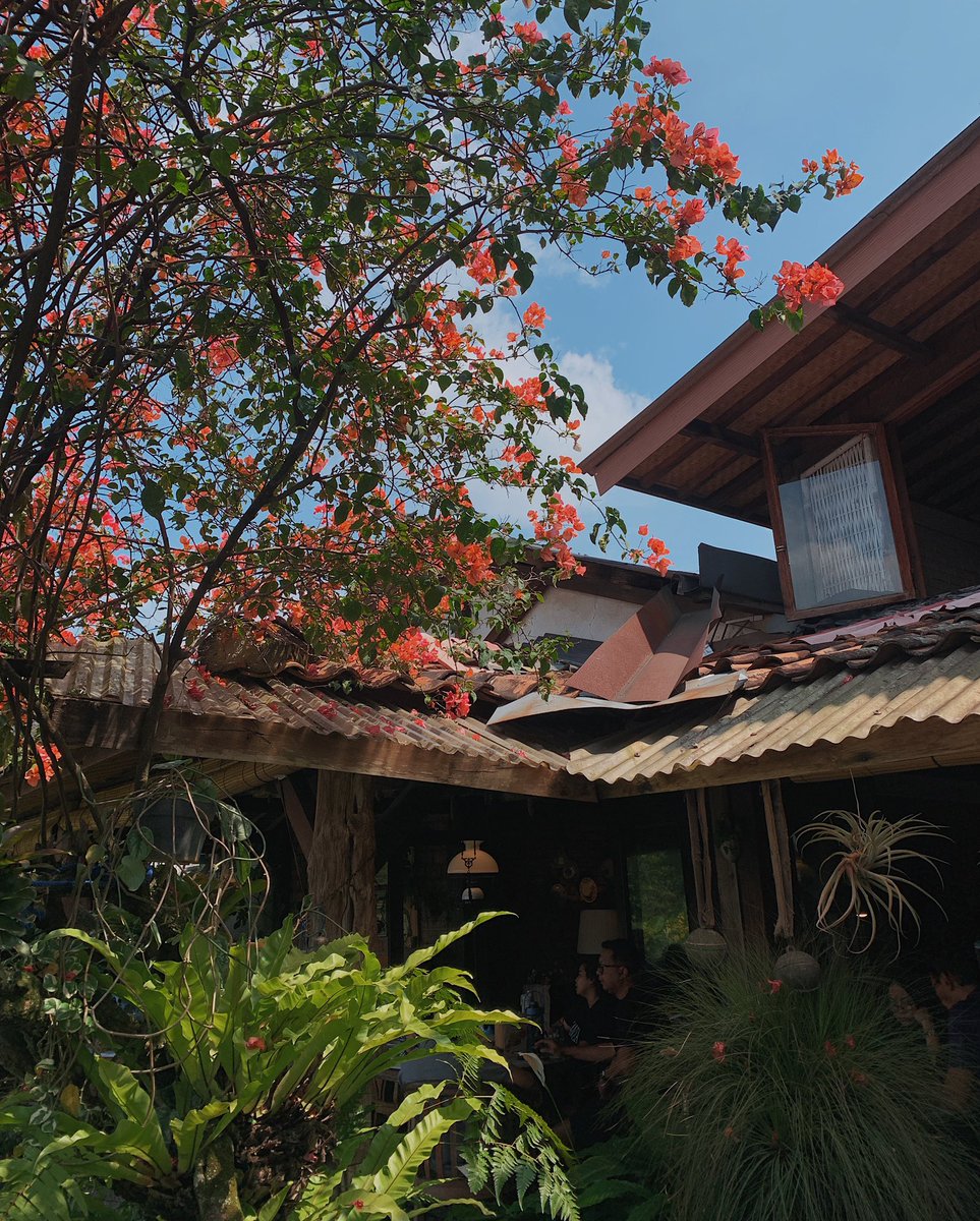rickeykio's tweet photo. Tempat yamin, per-mie-an, dan per-baso-an legend di Bandung 🍜✨ Wale / Warung Lela
Pertama kali tau pas awal kuliah, kebetulan kosan dulu ga terlalu jauh dari sini. Kemarin sore tiba-tiba pengen mampir lagi https://t.co/CXFnHtomys