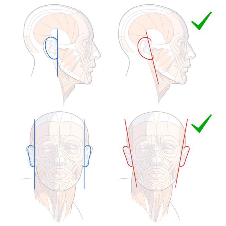 EtheringtonBrothers (@etheringtonbros) on Twitter photo Our feature tutorial/artist today is this BRILLIANT REF on EAR ANGLES by the talented <a href="/kato_anatomy/">ไผ่ฑใฎ็พ่ก่งฃๅๅญฆ่
</a>. The two angles shown here, both dictated by the JAWLINE are KEY to getting your charactersโ ears to sit correctly on the skull! #gamedev #anime #illustration #artists #manga #DRAW Our feature tutorial/artist today is this BRILLIANT REF on EAR ANGLES by the talented <a href="/kato_anatomy/">ไผ่ฑใฎ็พ่ก่งฃๅๅญฆ่
</a>. The two angles shown here, both dictated by the JAWLINE are KEY to getting your charactersโ ears to sit correctly on the skull! #gamedev #anime #illustration #artists #manga #DRAW