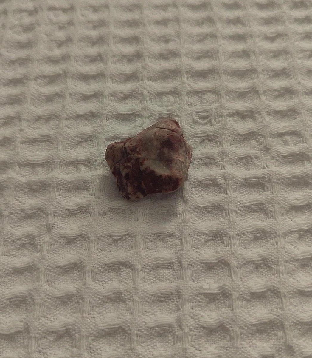 dana kusbasi tasi buldum