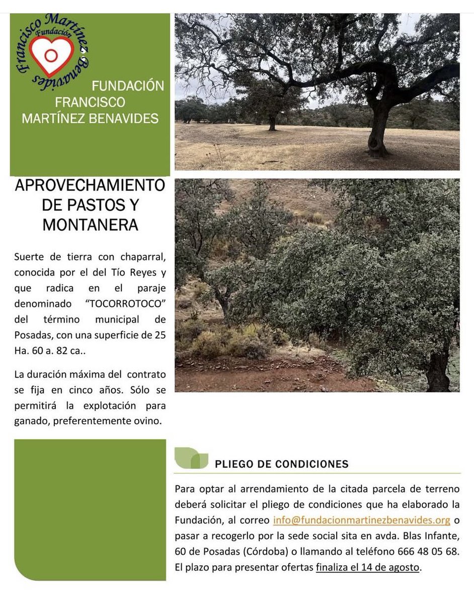 📣FUNDACIÓN FRANCISCO MARTÍNEZ BENAVIDES| 
📜Arrendamiento Parcela Regadío y Aprovechamiento de Pastos y Montanera
ℹ️ Sede Fundación (Avda. Blas Infante, 60 de Posadas). 
📱666 48 05 68.
🗓️Plazo para presentar ofertas: hasta 14 de Agosto.