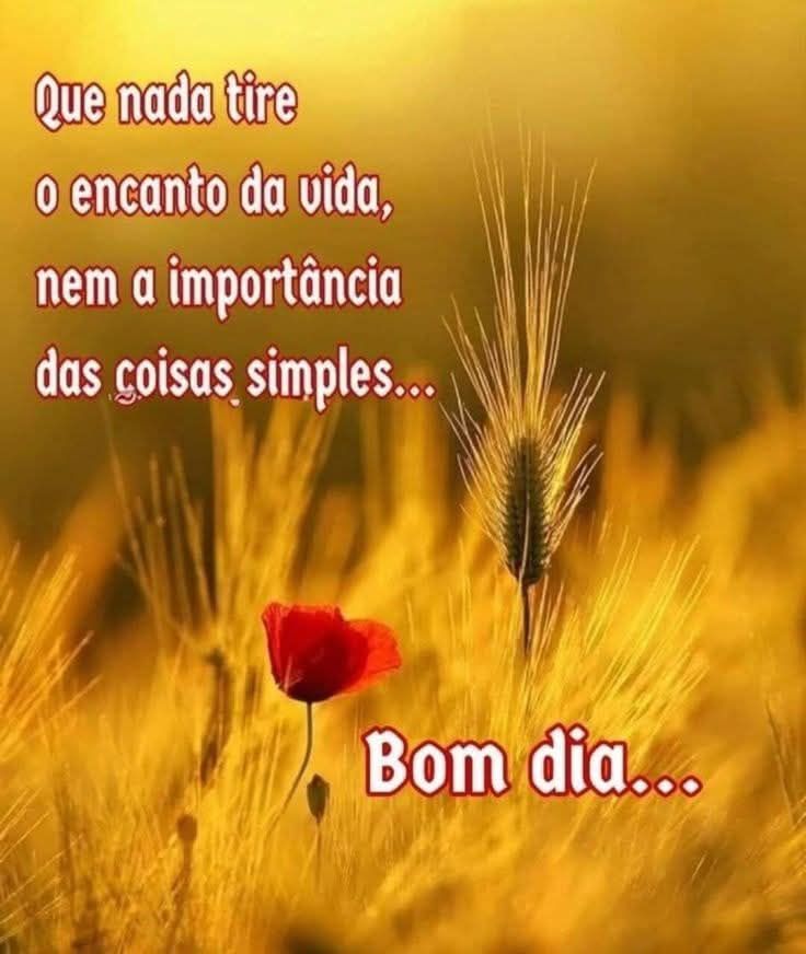 Mundomalyne's tweet photo. Bom dia 🙏🙏🙏🙏🙏🙏🙏 https://t.co/GpUdkRyhEW