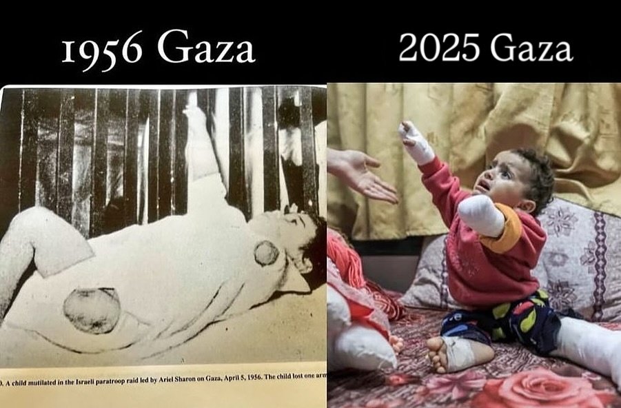 76 year genocide on babies