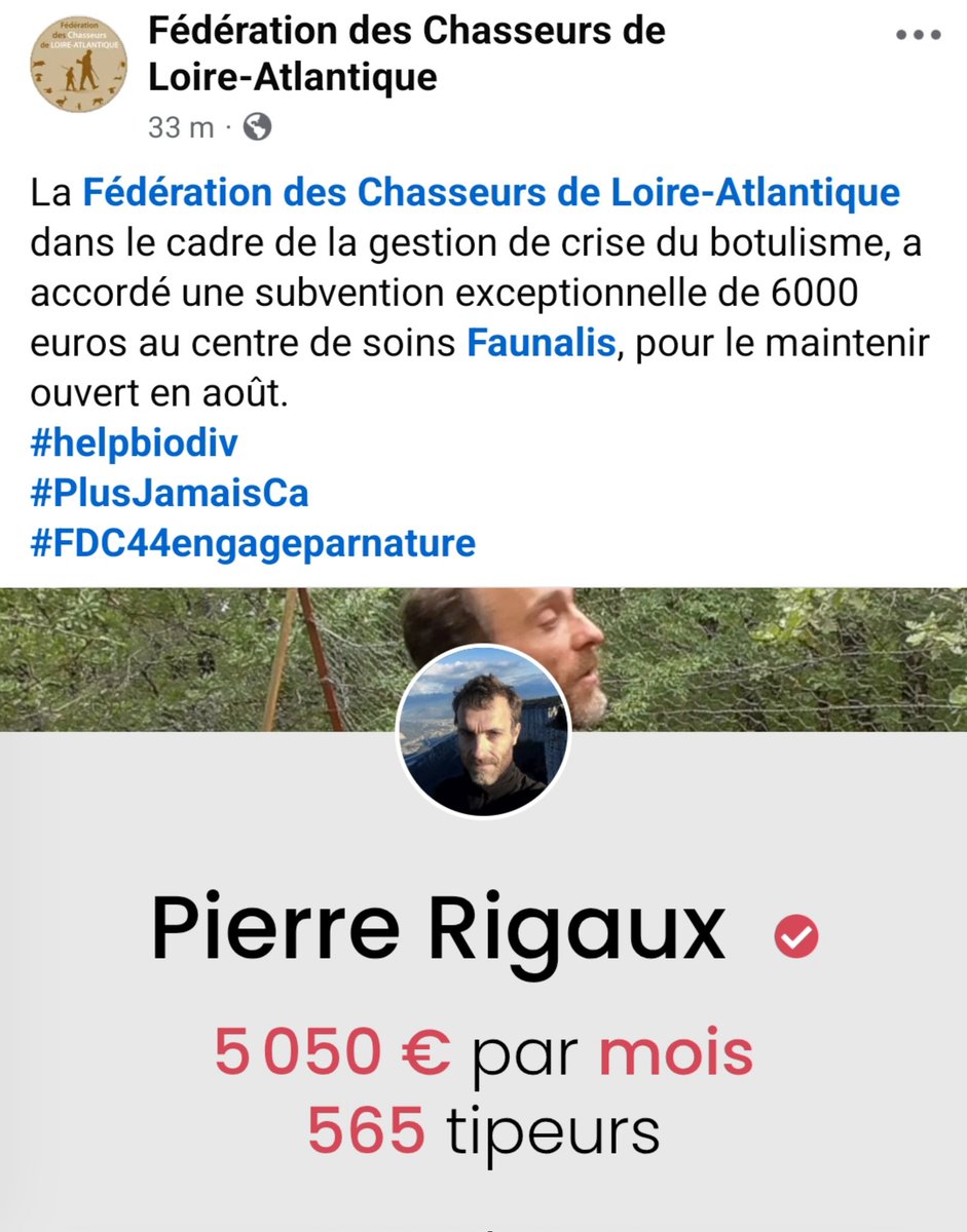 frasanor44's tweet photo. - #Fdc44 6000€ versé pour garder le centre #Faunalis ouvert en août
- #PierreRigaux 5050€ non pas pour verser mais pour déverser sa haine #AntiChasse
#Botulisme #Oiseaux #Marais #MaraisBriere #Briere #LoireAtlantique #Bretagne #Chasse #Peche https://t.co/ju1gCZjP9Q
