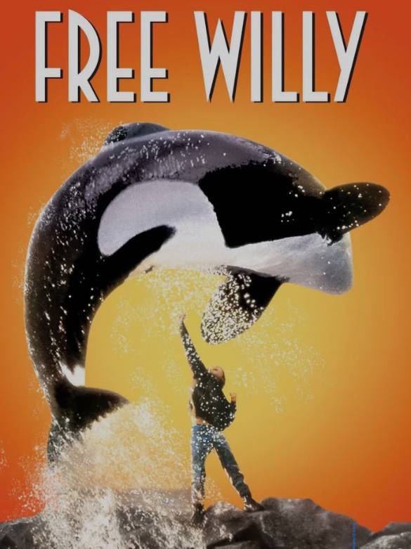 Is $willy #free?

What do you think about it?
So maybe higher?