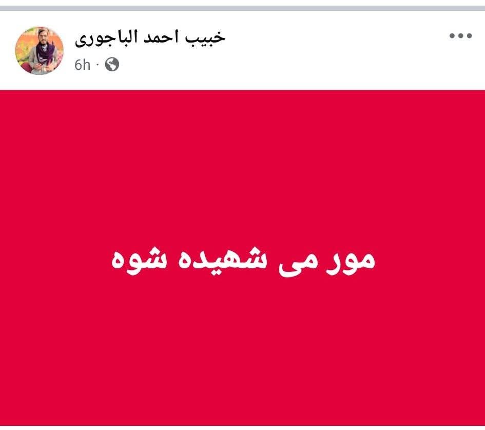 اس درد کو صرف انسان  ہی محسوس کر سکتا ہے۔💔💔
#IndependenceDay
#Bajwar