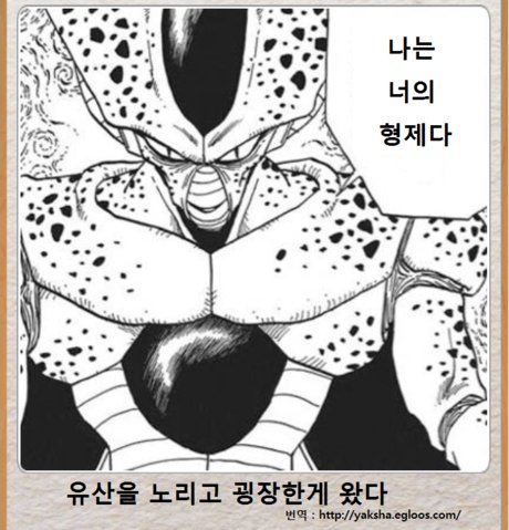 나는 이런 짤 아직도 좋아함 