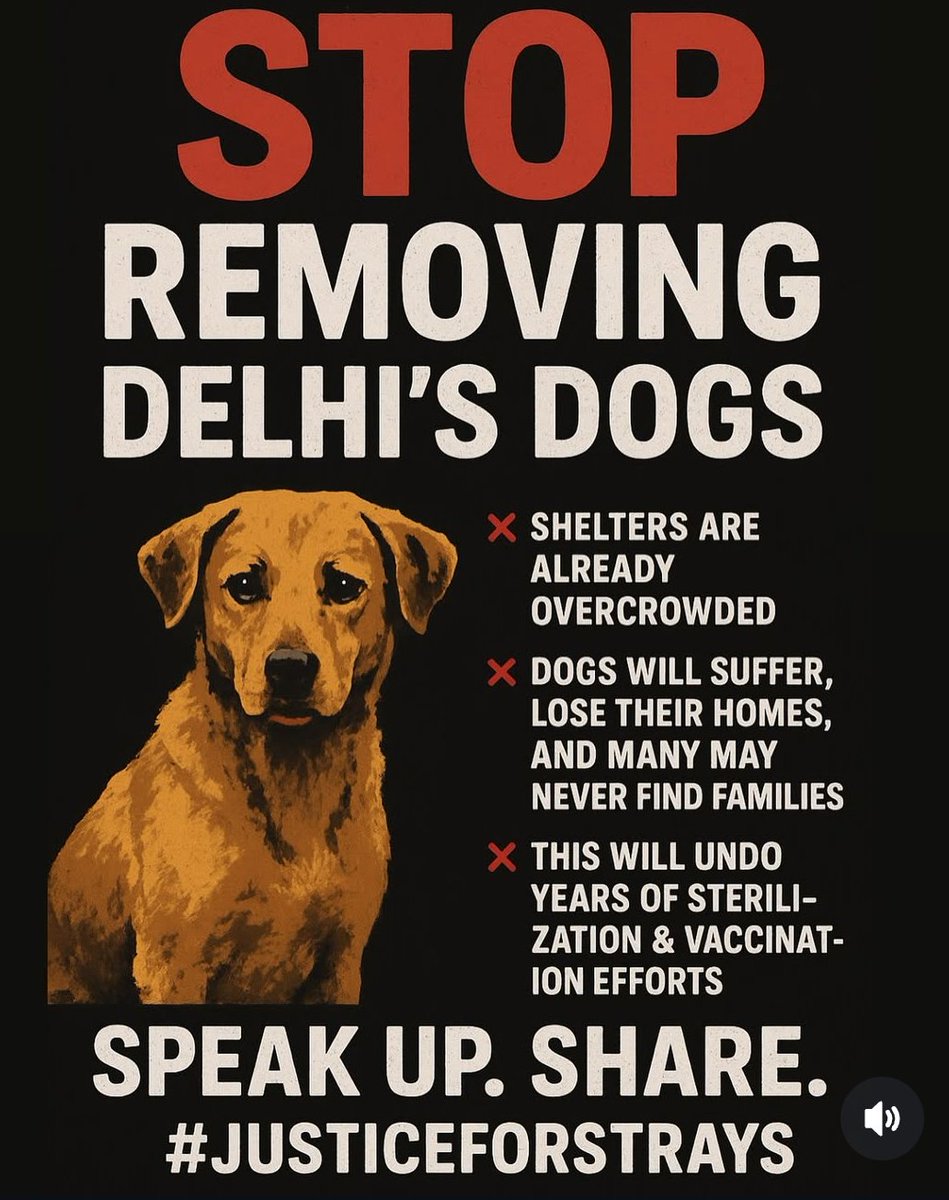 Natasha108108's tweet image. #JusticeForStrays 
#JusticeForDogs