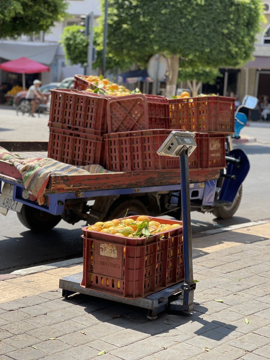 Suetehsah's tweet photo. 🇲🇦 #Maroc #Berkane #Morocco #Saidia
Comme prévu, le cartel de Berkane a encore frappé…
Nouvelle livraison interceptée ce jour .
🫡🫡 https://t.co/4tcfWaUx1x