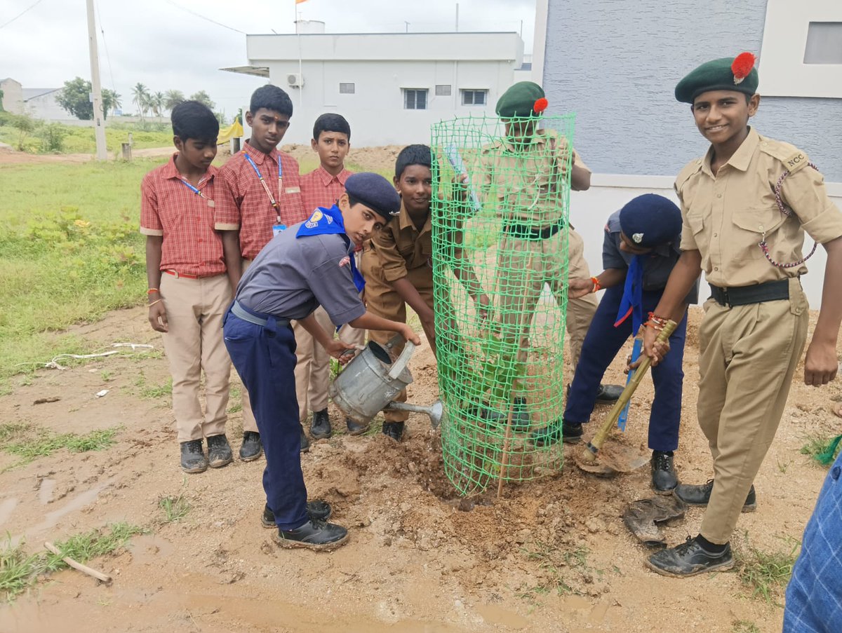 MC_Bodhan's tweet photo. Day73-As part of 100 Days Action Plan 
Plantation programme in W. No.1, Srinivas Nagar in Bodhan Municipality
@MoHUA_India
@RoopaMishra77
@tksreedevi
@cdmatelangana
@SwachhBharatGov
@SBMU_Telangana
@tgmepma
#TelanganaRising2047 #TG100DaysActionPlan #OkaMarpu_AbhivrudhikiMalupu https://t.co/1r9xolUDNE