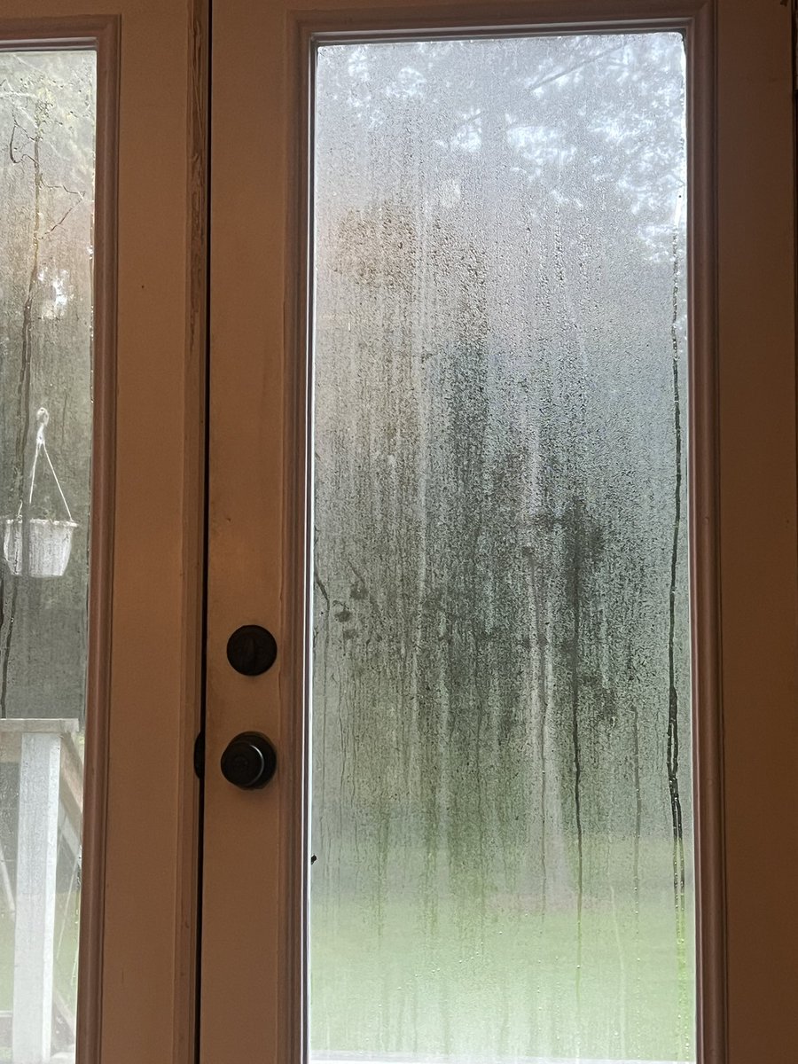 This is what 99% humidity looks like just in case you were wondering. 💦 🥵 At least it’s only 75° which is beyond bizarre for this time of year. The other good sign, it’s the end of summer which means #UGAfootball is just around the corner! 🏈 #17days