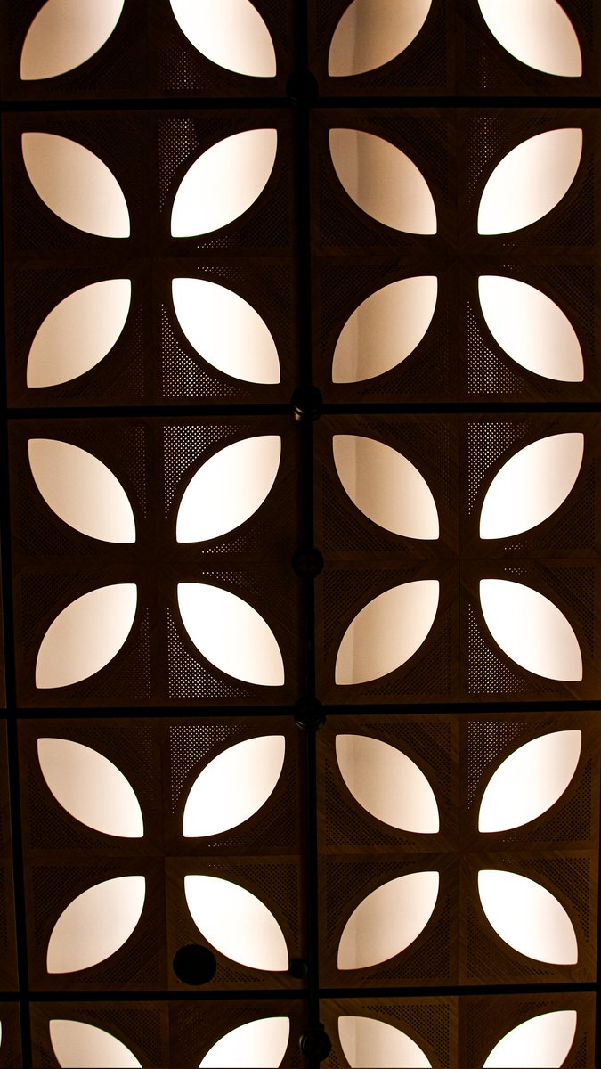 dinobreezy's tweet image. When the ceilings become art 🤩

#ceiling #art #naturalis #museum #Photography #canon #sigma 
#WednesdayMotivation