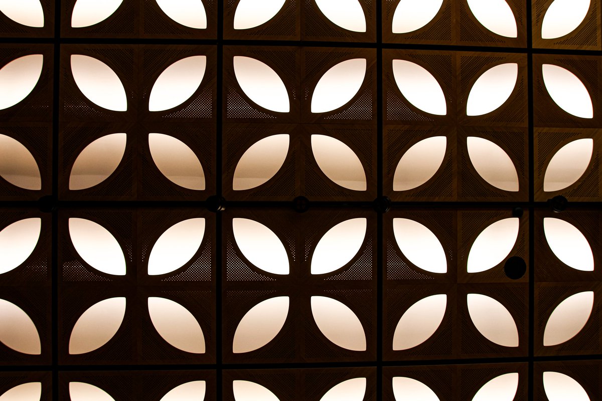 dinobreezy's tweet image. When the ceilings become art 🤩

#ceiling #art #naturalis #museum #Photography #canon #sigma 
#WednesdayMotivation