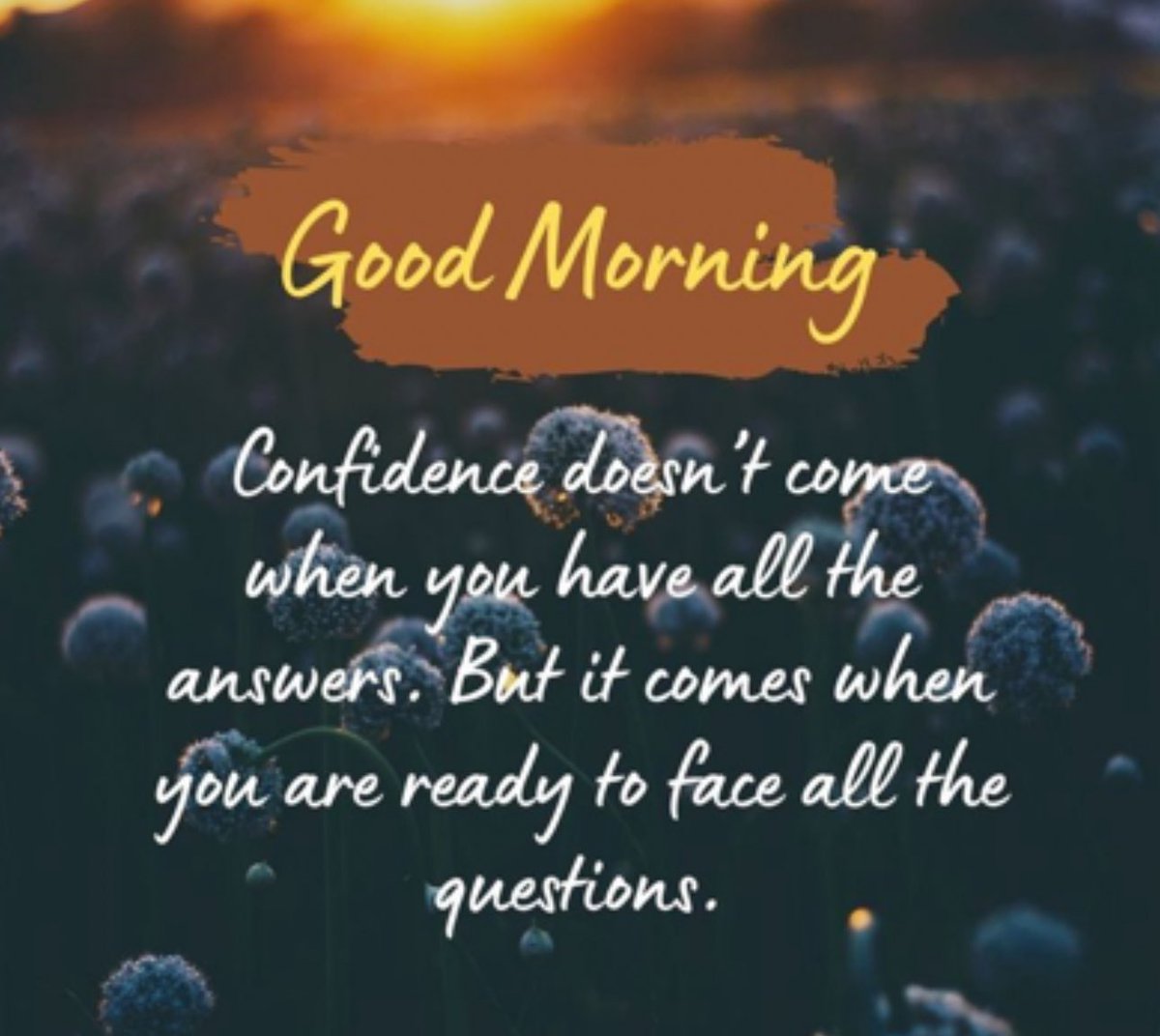 Corey_D1984's tweet photo. Happy Wednesday Fam! It’s going to be a beautiful day out here in Colorado & it’s coffee time… How is the weather for y’all  @DannyGautama @mrs_wollin @MrsHunterArts @MsMcTeach @ABrightClass1  @MrsMcKinley28 @itsmrsshep @hclark444 @MrsV5thGrade @davalos_ofelia @HayesHolly2 @edspecsweet @Run_Read_Teach @MandaMaes_1 @Hockeygirl3784 @Bethwally08 @mrswilliams21c @jlpoober @alldayinprek @itsmrsshep @briscoe_mrs @RyanKennedy_22 @luvbuckeyes @mrs_clinkscale @TDancesia @LeslieTonon @MsHatmaker @Brianna_Dunn  @MrsDSpEd @Buckeyelinds27 @MelindaMango @mireily519 @prekteacher23 @Amyinthe303 @coachj4592  @ReganLYates @TigerGirl102250 @HappyLilLilacs @kaitlynnashleyS @Brandieteaches @Amandatayl9731 @JuliePeter80 @molsen14 @HeyyRB @ashleylang2 @Teach_WA @ShannonLVG @MrsDrees_SES @ataylor1329 
#BetterTogether #Pln4fam #Thankfulness