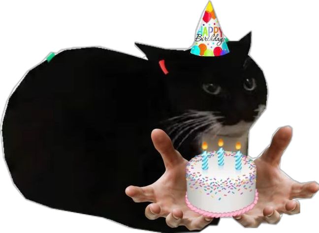 eli🌙✨comms open💫 tweet media