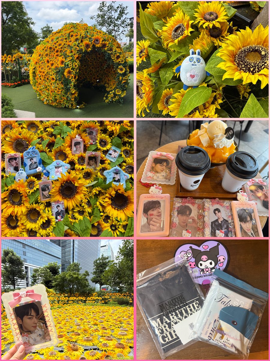 今日はロハチンとデート❤️
マリテ行ってノベルティもらってひまわりスカイガーデン🌻ひまわりの中にウヌだらけ😅ショッピングで欲しかった物getして締めにはピンス🍧めちゃ充実してた🥰おまけにチングにウヌのVRの🍎が入ってた袋のソンムル💕テンション爆上がり！ありがとう💕😊#チャウヌ