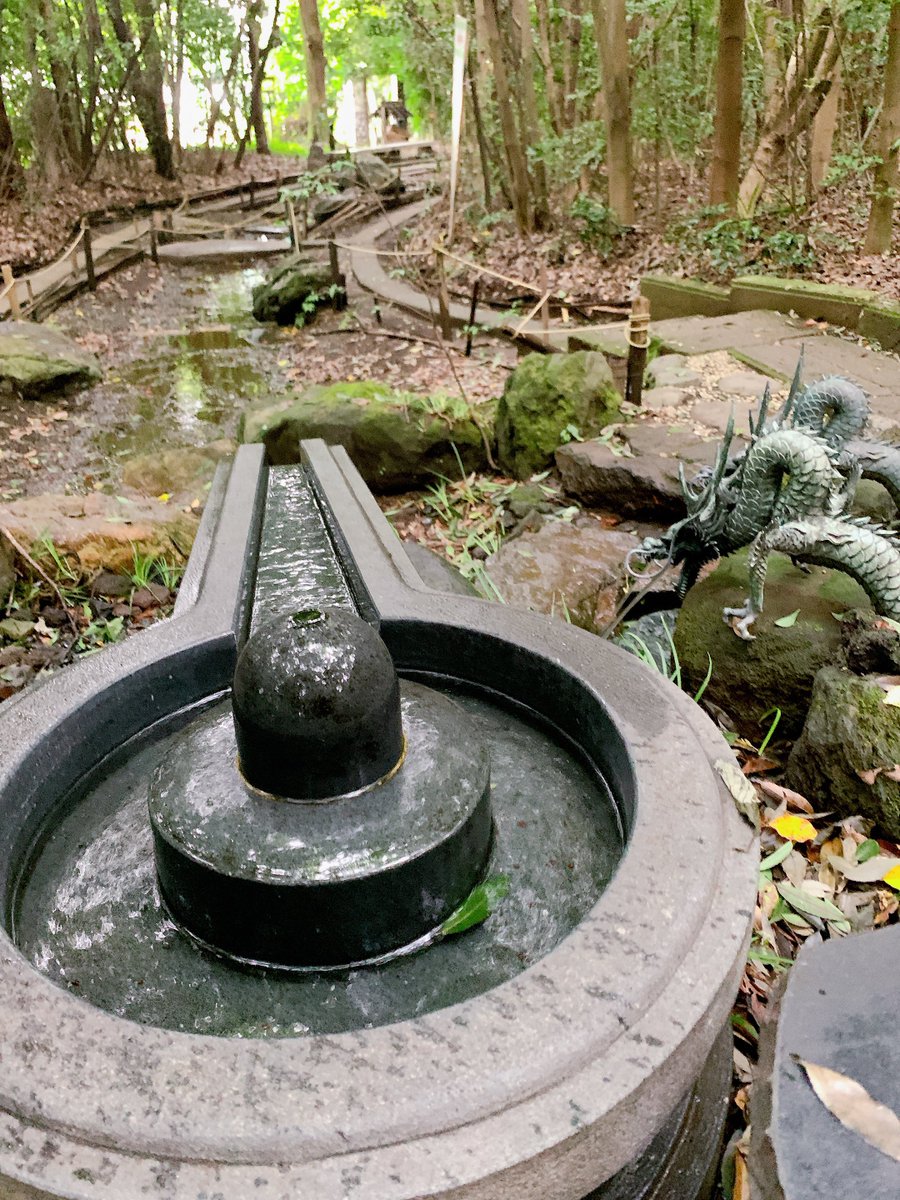 神奈川 出雲大社相模分祠

美味しさ部門1位＆名水百選に選ばれた湧水があります⛲️

御朱印は、ほおずきがスタンプされたしっかり目のものをいただきました！

ヤギもいるようです🐐

 #御朱印 
 #出雲大社相模分祠 
 #神奈川  #秦野