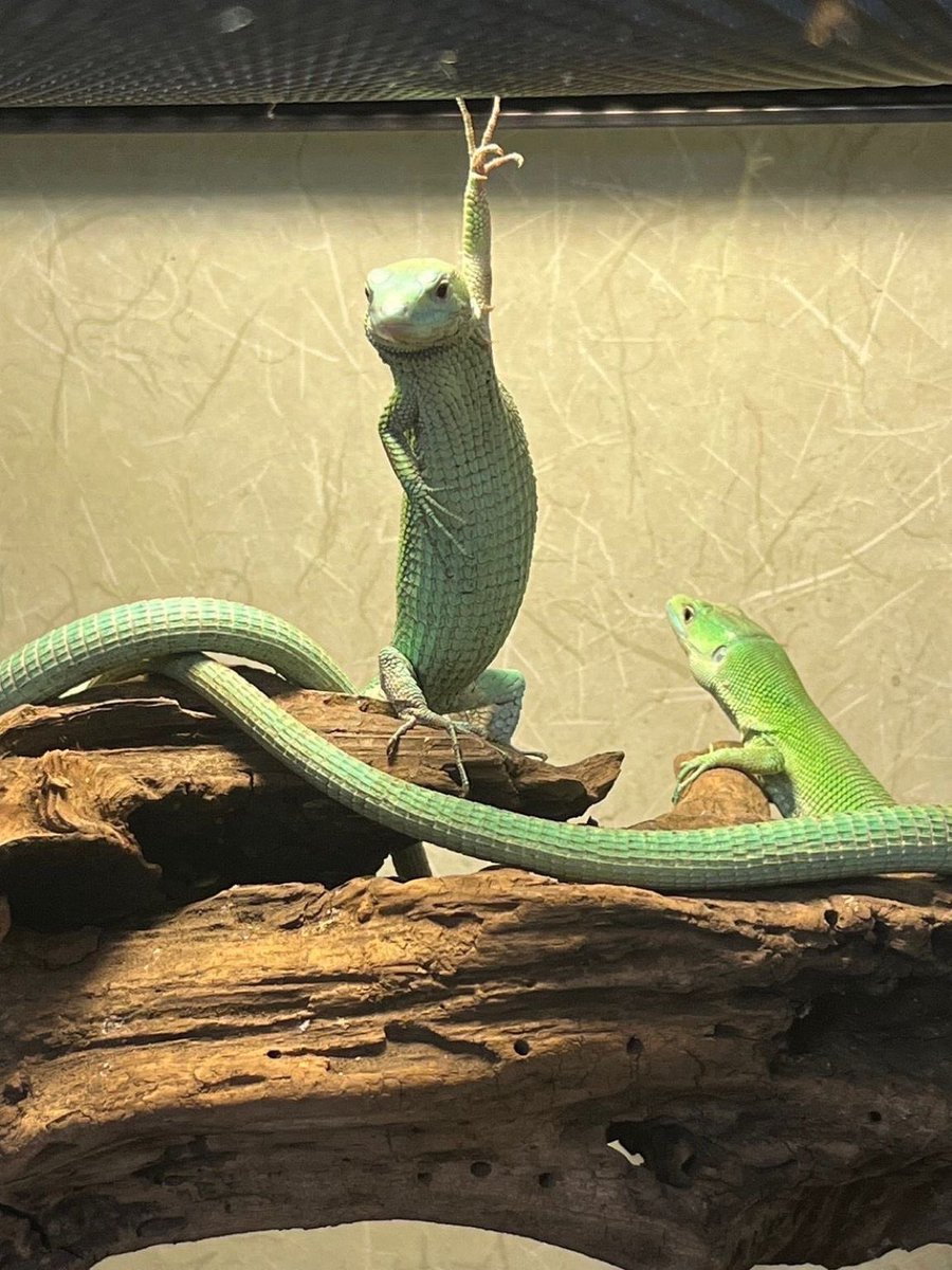 今日何時間勉強したの？